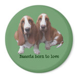 Basset Hound Buddies Magnet