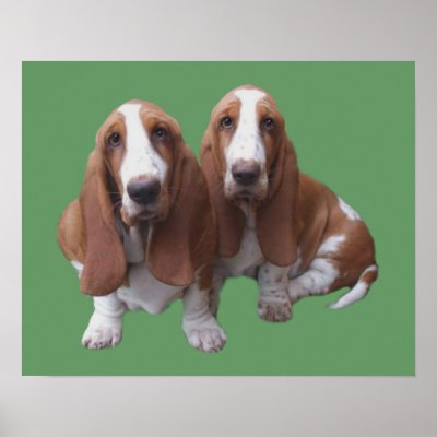 Basset Hound Buddies Print by normagolden