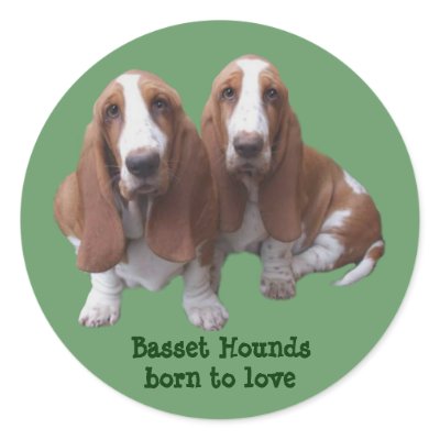Basset Hound Buddies Sticker by normagolden