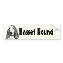 Basset Hound