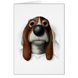 Basset Hound Busting Out