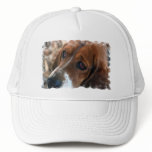 Basset Hound Design Baseball Hat