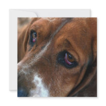 Basset Hound Design Invitations