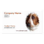 Basset Hound Dog Business Card business cards