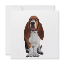 Basset Hound Dog Invitation