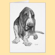 Basset Hound Drawing cards