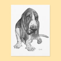 Basset Hound Drawing postcards
