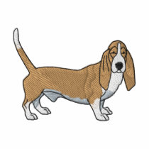 Basset Hound