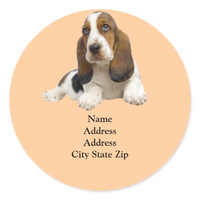 Basset Hound Fabulous Face Address Label by normagolden