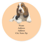 Basset Hound Fabulous Face Address Label stickers