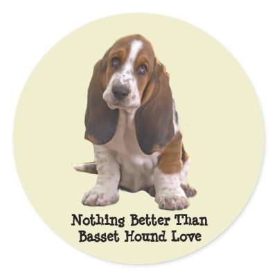 Basset Hound Face Sticker by normagolden