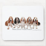 Basset Hound Friends Forever
