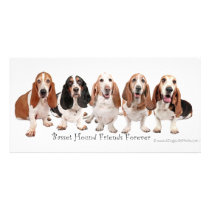 Basset Hound Friends Forever