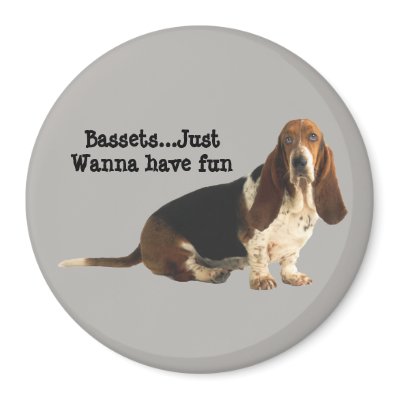 Basset Hound Fun Loving Magnet by normagolden