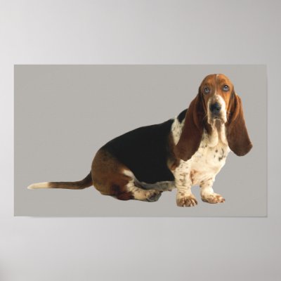 Basset Hound Fun Loving Print by normagolden
