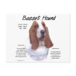 Basset Hound History Design
