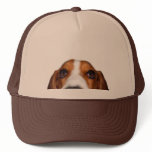 Basset Hound In your face Mesh Hat