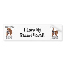 Basset Hound love