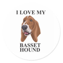 Basset Hound love
