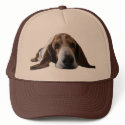 Basset Hound lying down hats