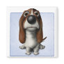 Basset Hound
