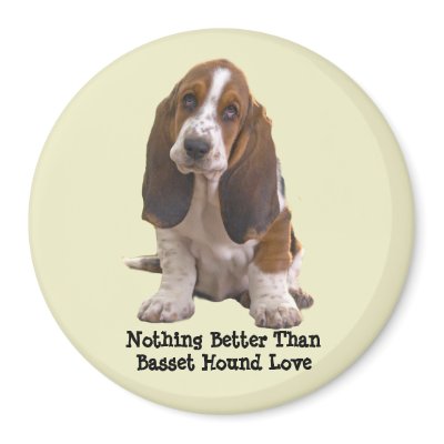 Basset Hound Magnet by normagolden