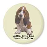 Basset Hound Magnet