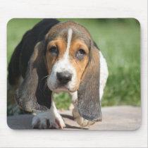 Basset Hound Mousepad