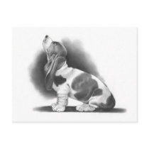 BASSET HOUND: PENCIL REALISM ART POST CARDS