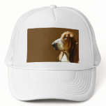 Basset Hound Photo Hat