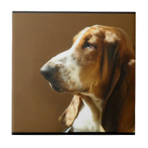 Basset Hound Photo Tile