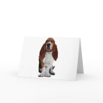 Basset Hound Picture Greeting Card