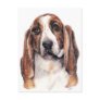 Basset Hound Portrait Postcards
