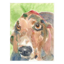 Basset Hound Post Cards
