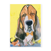 Basset Hound
