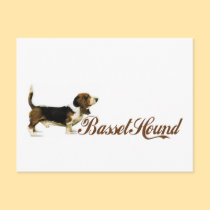 basset hound postcards