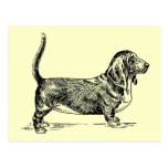 Basset_Hound Postcard