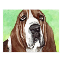 Basset Hound Postcards