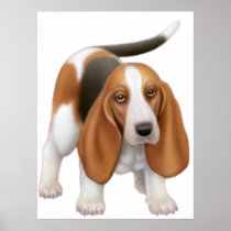 Basset Hound Poster Print