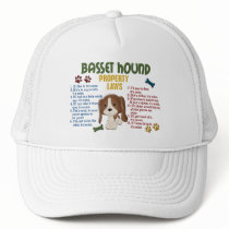 Basset Hound Property Laws 4