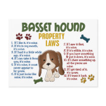 Basset Hound Property Laws 4