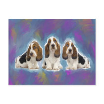 Basset Hound Puppies Post Cards