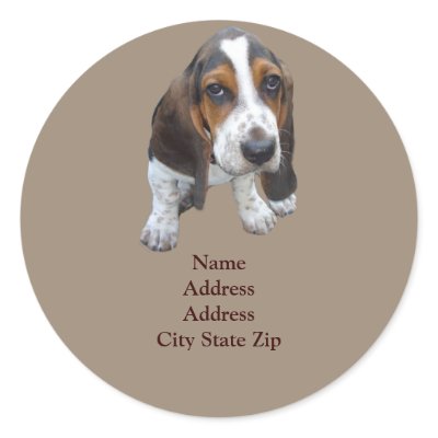 Basset Hound Puppy Address Label by normagolden