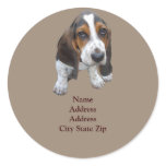 Basset Hound Puppy Address Label stickers