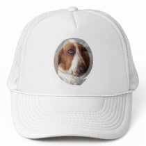 Basset Hound Puppy Baseball Hat