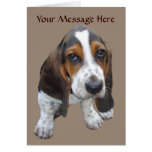 Basset Hound Puppy Greeting Card