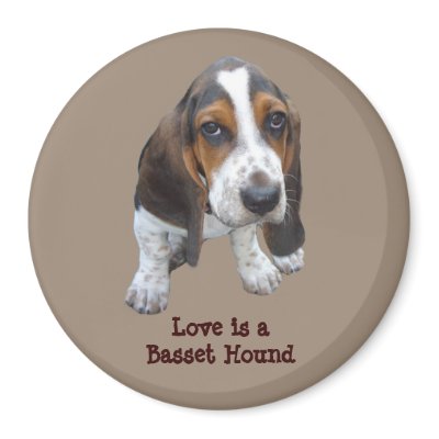 Basset Hound Puppy Magnet by normagolden