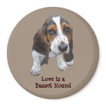 Basset Hound Puppy Magnet