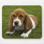 Basset Hound Puppy Mousepad