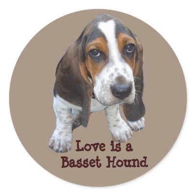 Basset Hound Puppy Sticker by normagolden